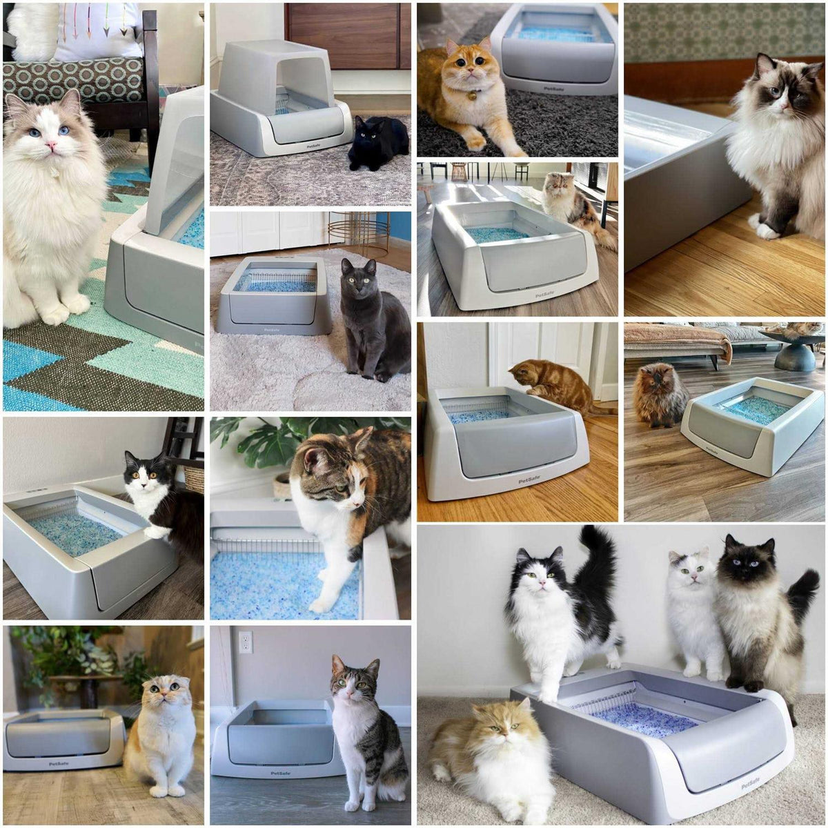 Self-Cleaning Cat Litter Box L598262