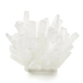 Decorative Bowl S76362