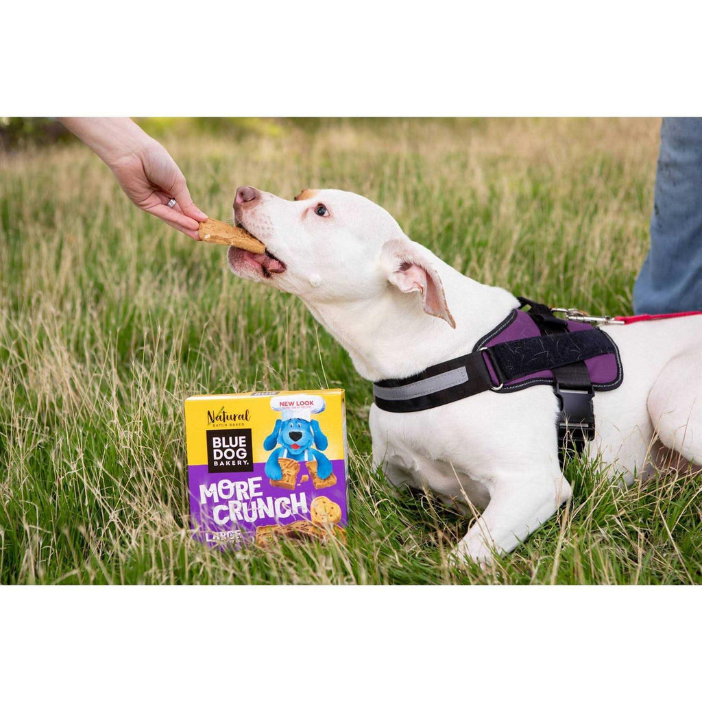 Dog Treats Q458970