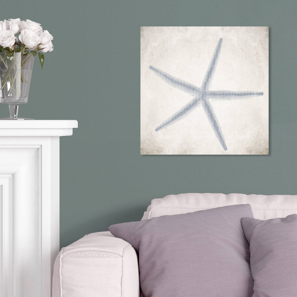 Blue Starfish Grey Coastal Canvas V233962