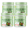 Super Greens Powder Smoothie Mix 4pk D714