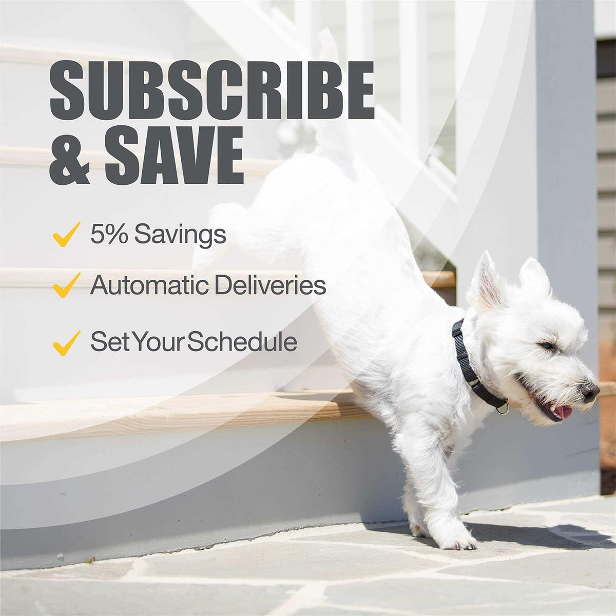 Joint Health Supplement with MSM for Small to Medium Dogs Q90496