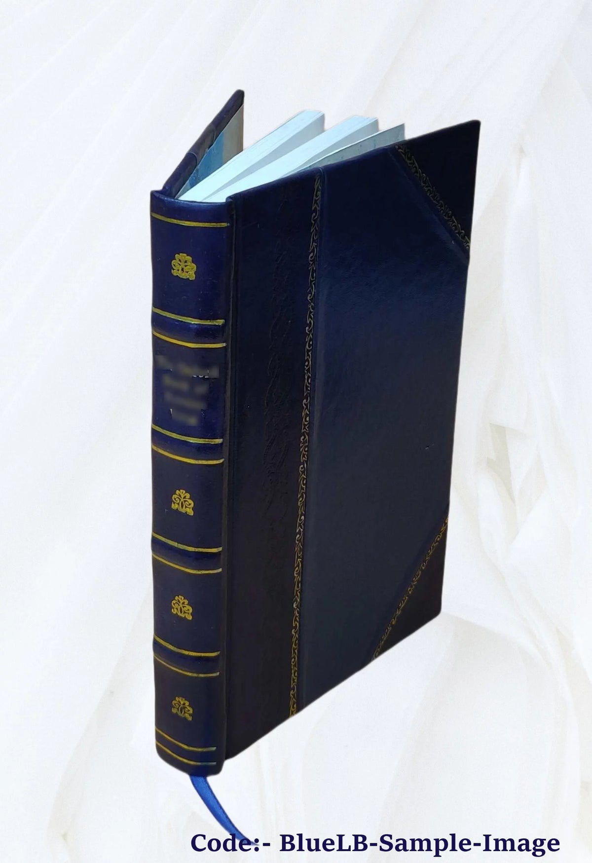 Leather Bound Book C826