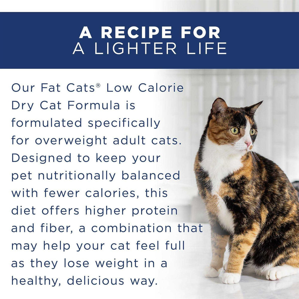 Adult Dry Cat Food D7213