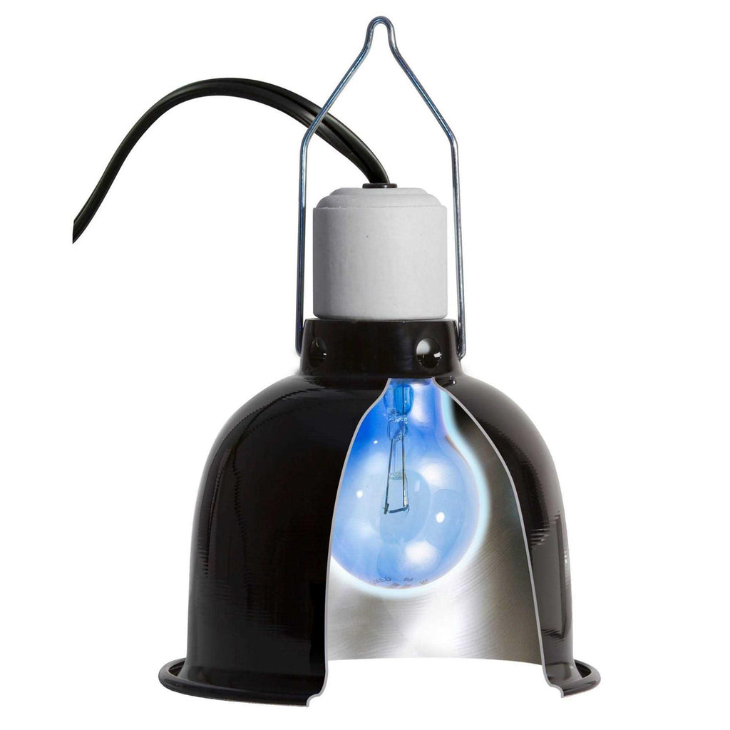 Daylight Blue Reptile Bulb N127749