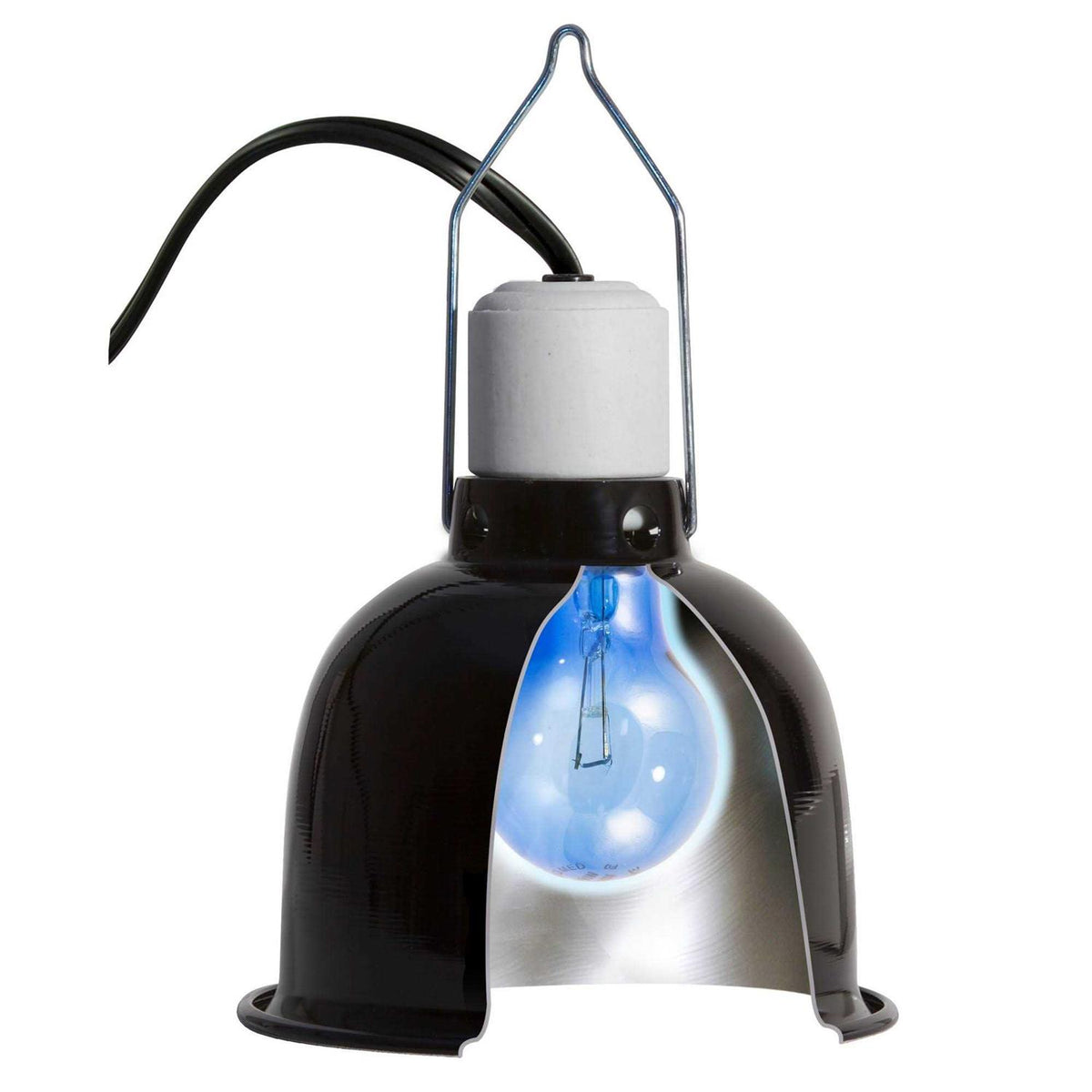 Daylight Blue Reptile Bulb N127749