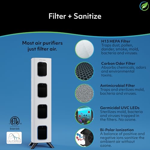 H13 HEPA Filter Air Purifier T571769