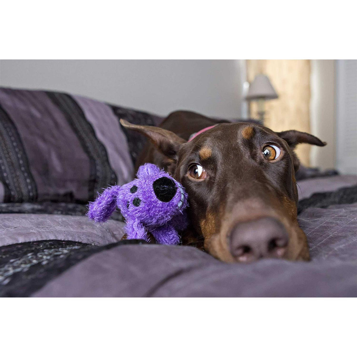 Jumbo Dog Toy J796982
