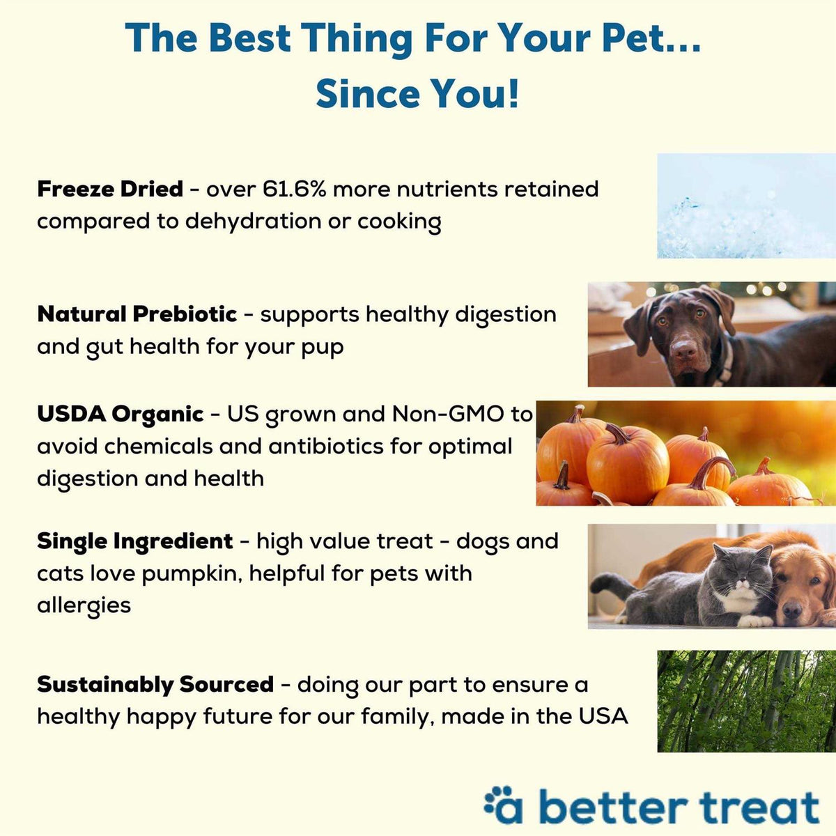 Organic Freeze-Dried Dog & Cat Treats R100331