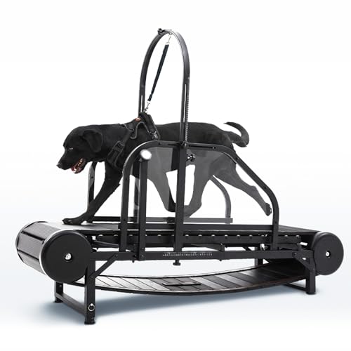 Non-Electric Dog Treadmill with Step Counter, Adjustable Incline & Brake U7376