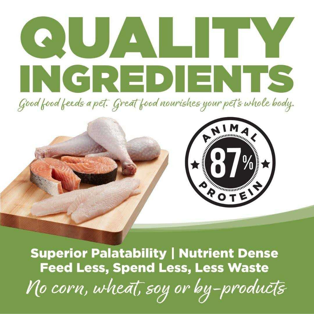Dry Dog Food V93398