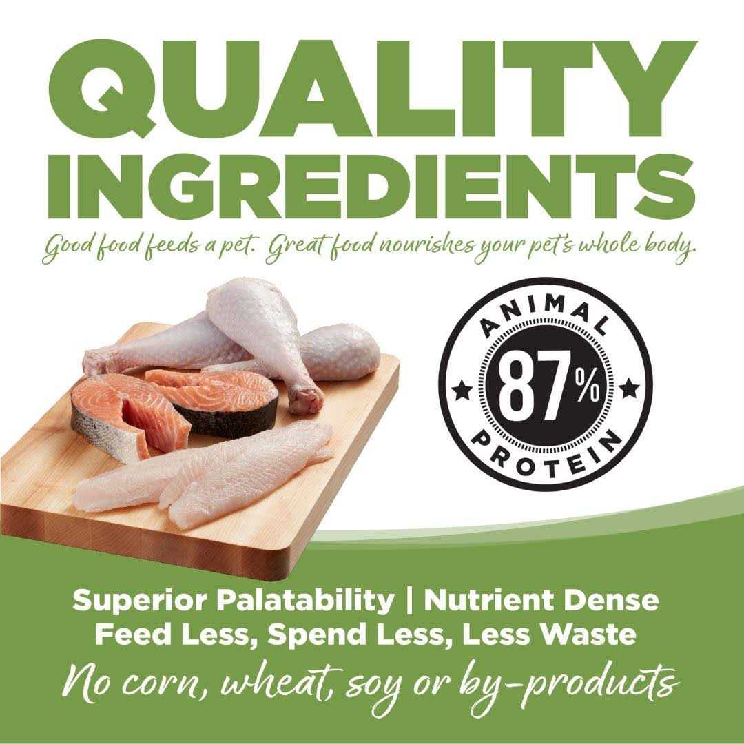 Dry Dog Food V93398