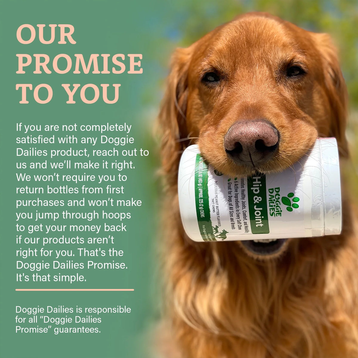 Glucosamine for Dogs 225 Chews Joint Supplement with Chondroitin MSM Hyaluronic Acid CoQ10 Chicken Y803