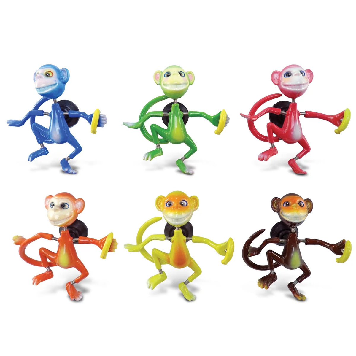 Set of 6 Assorted Color Animal Bobble Magnets O2868
