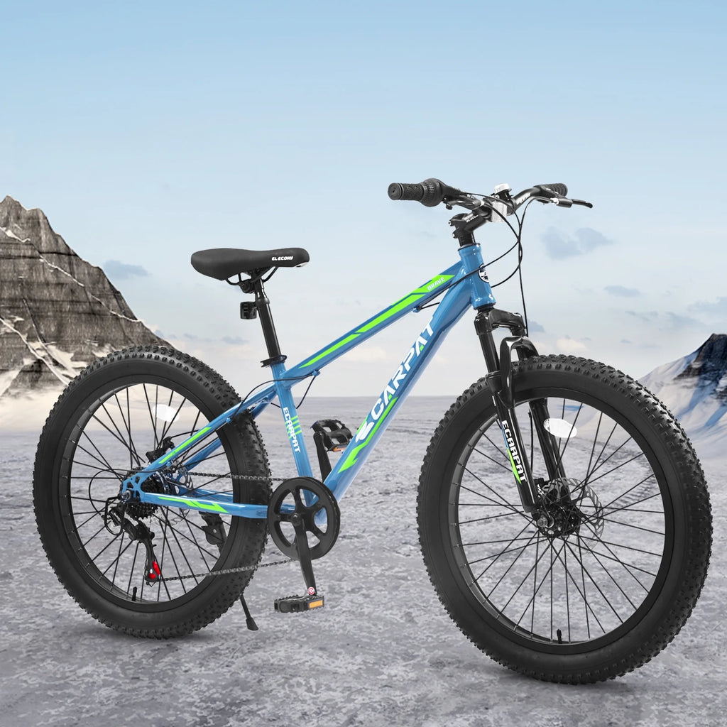 24 inch Fat Tire Mountain Bike F619787