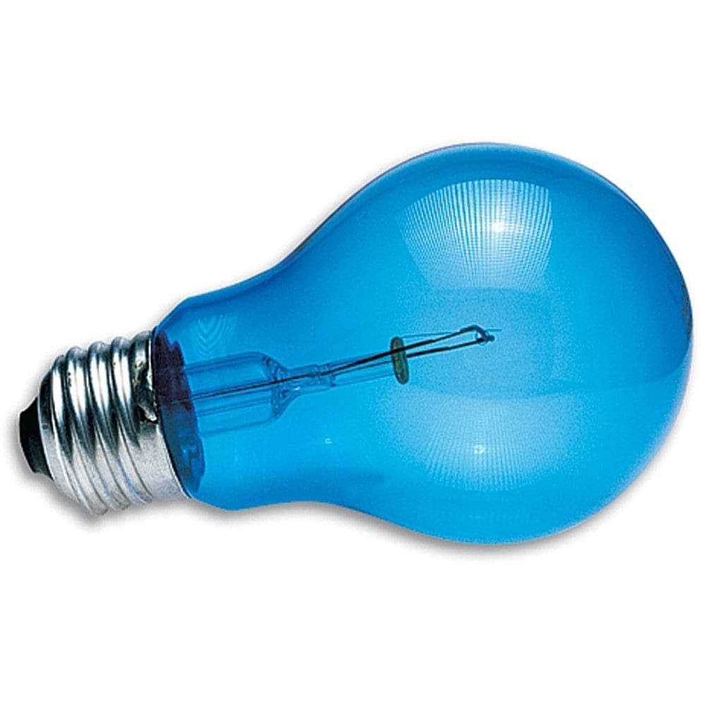 Daylight Blue Reptile Bulb N127749