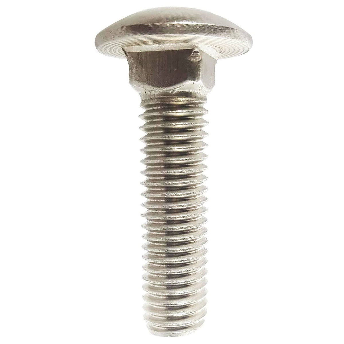 5/8-11 x 4x22 Stainless Steel Carriage Bolts Qty 5 P759