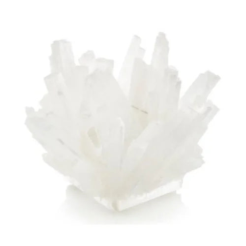 Decorative Bowl S76362