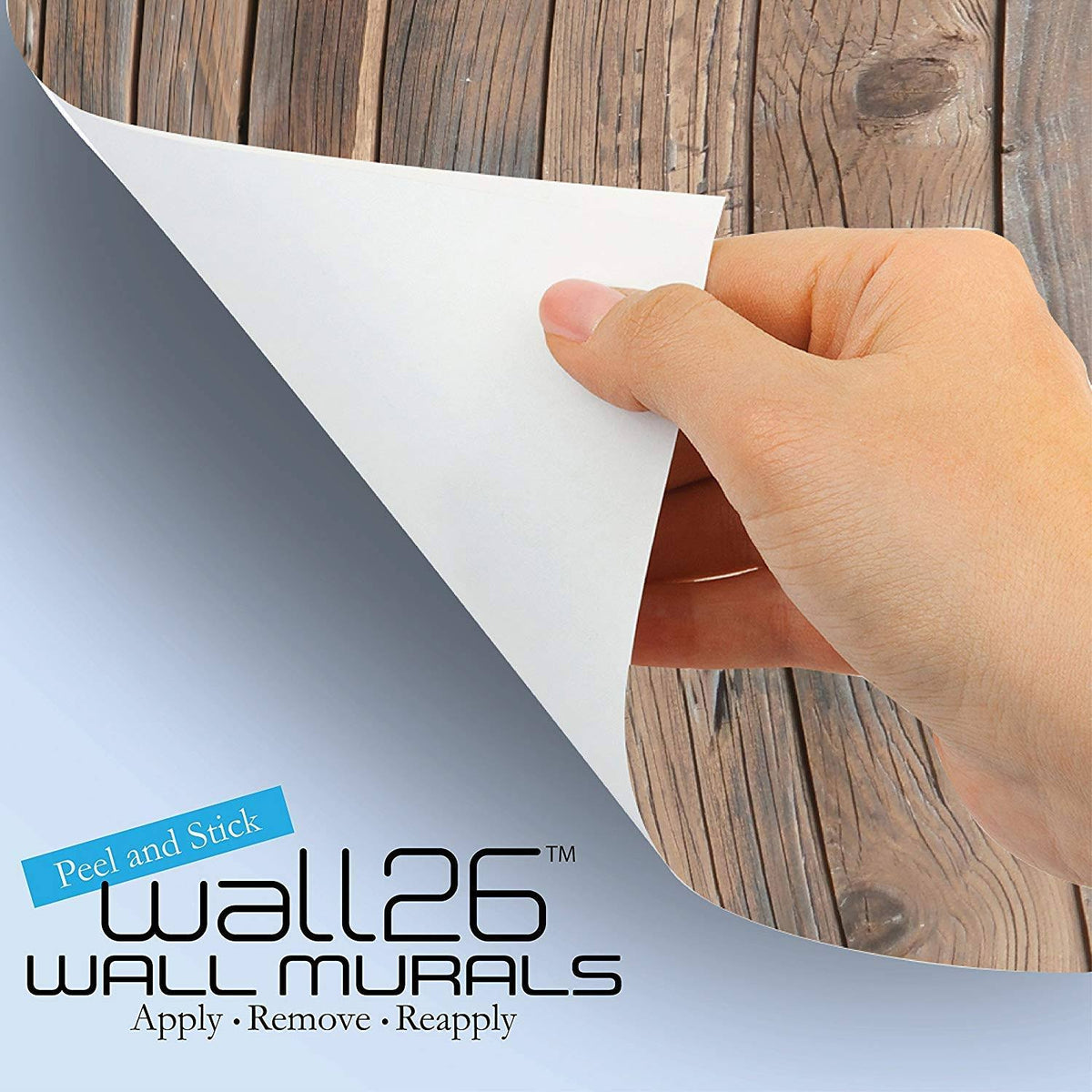 Removable Wall Mural, 66x96 Inches I362