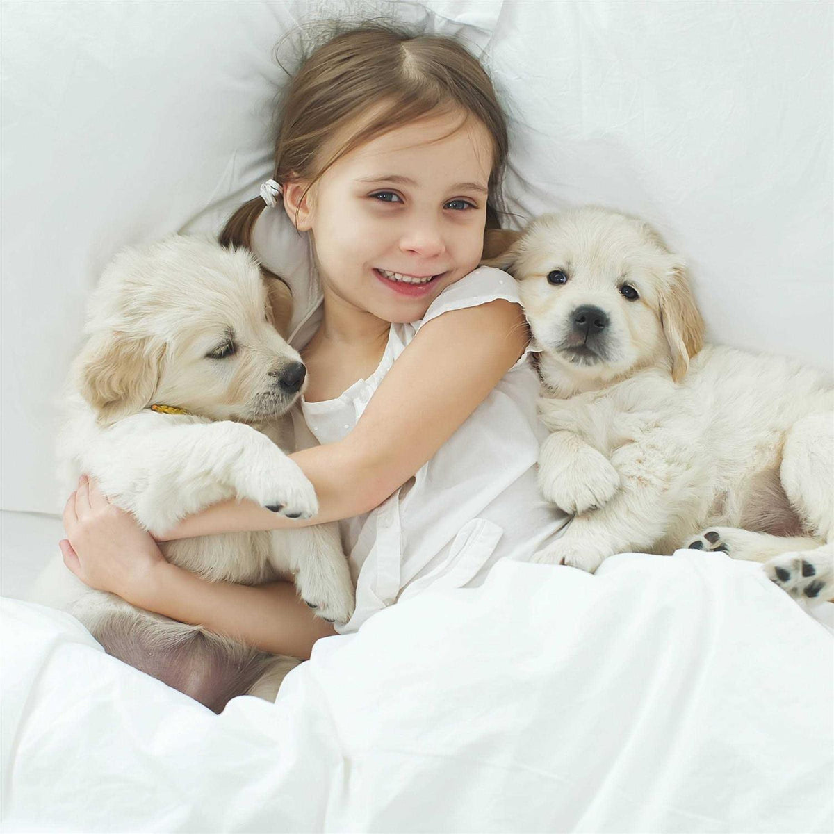 Waterproof Pet Blanket Throw D162