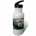 21 oz Sports Water Bottle W421