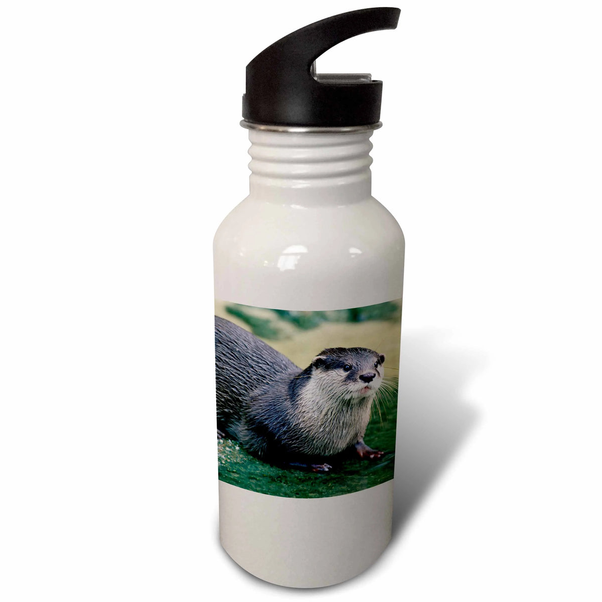 21 oz Sports Water Bottle W421