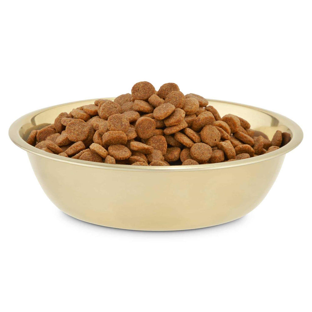 Gold Stainless Steel Dog Bowl P441