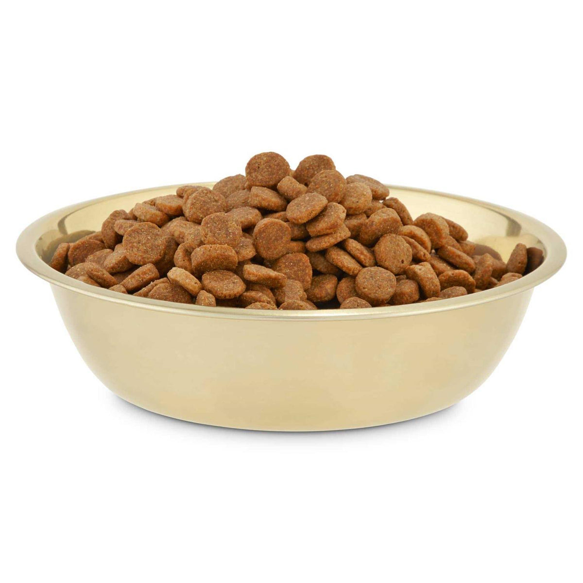 Gold Stainless Steel Dog Bowl P441