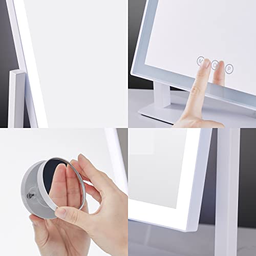 Lighted Makeup Mirror with 5X Magnification, 17.3in White T75916