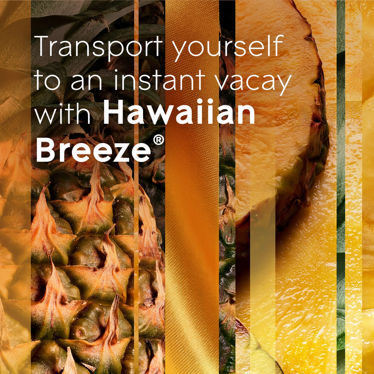 Hawaiian Breeze Air Freshener Refills, 0.67 oz, 5 Count V214