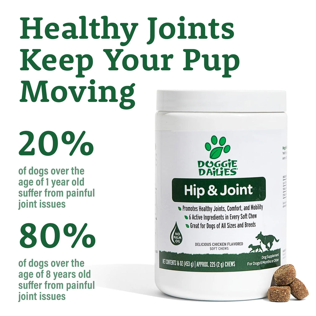 Glucosamine for Dogs 225 Chews Joint Supplement with Chondroitin MSM Hyaluronic Acid CoQ10 Chicken Y803
