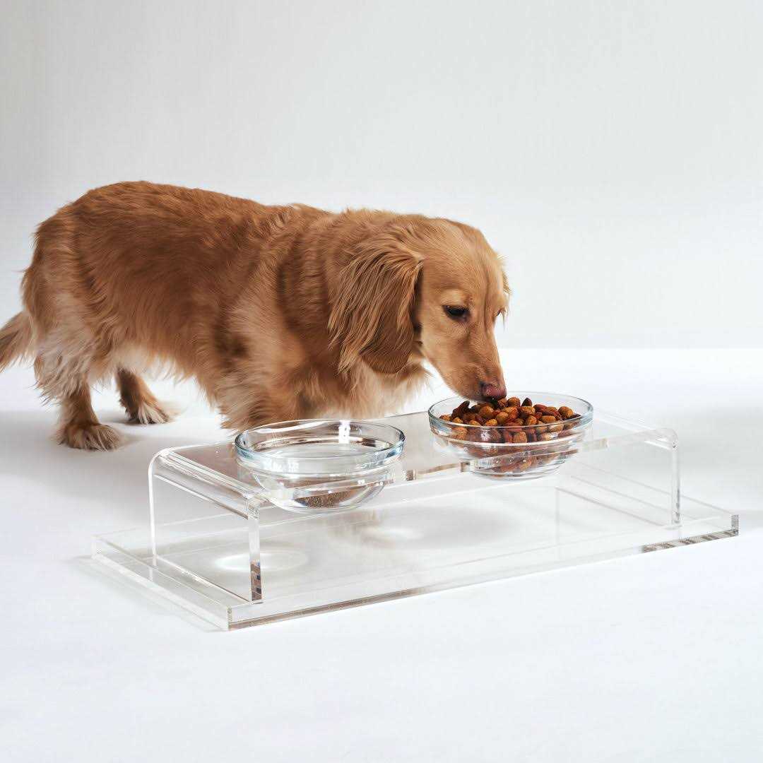 Clear Elevated Glass Bowl Feeder D234
