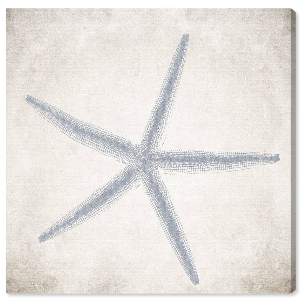 Blue Starfish Grey Coastal Canvas V233962