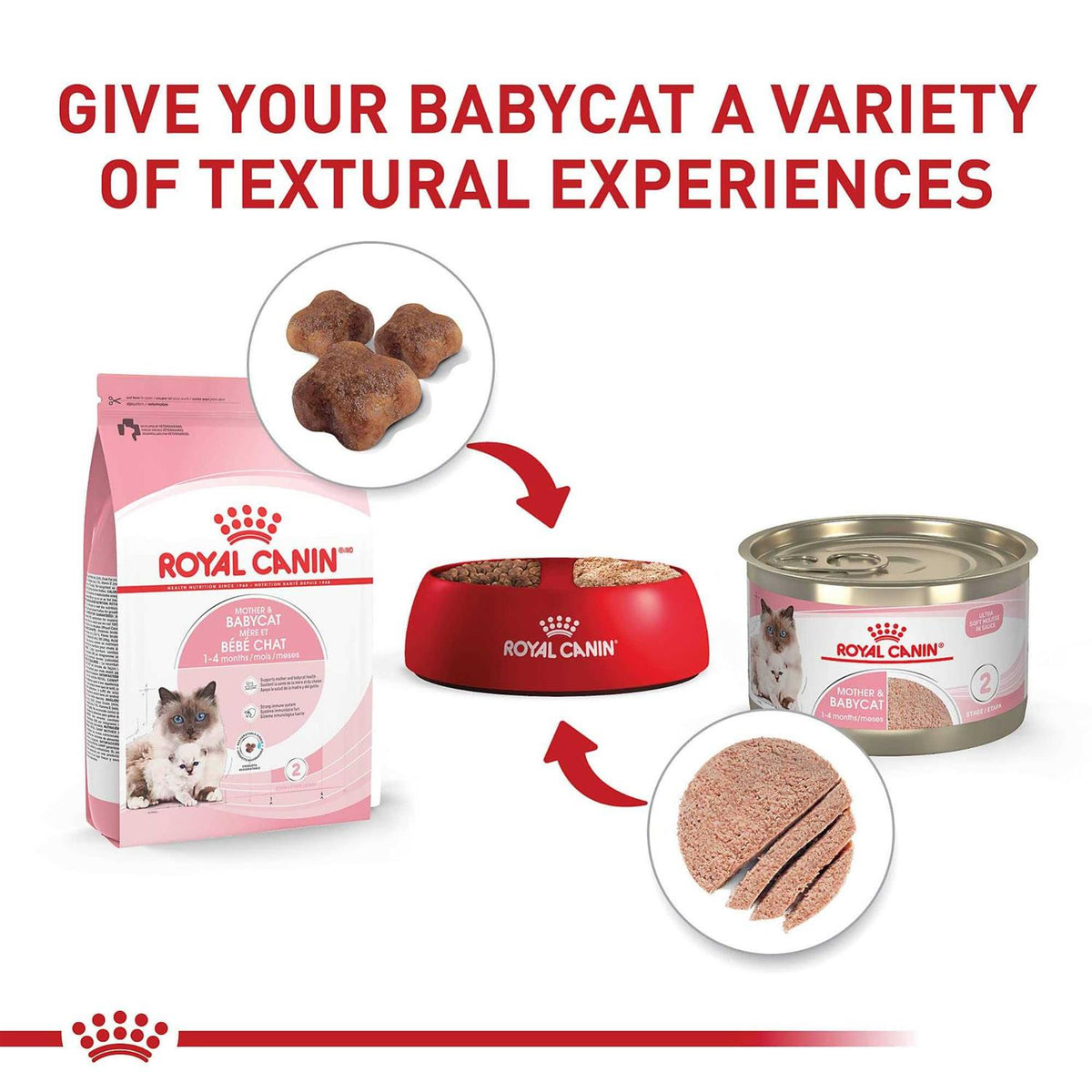 Canned Cat Food X4368