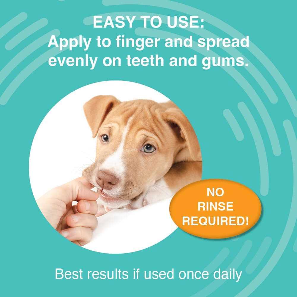 Dental Gel T734
