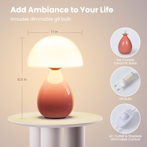 Small Vintage Dimmable Ceramic LED Table Lamp X1545