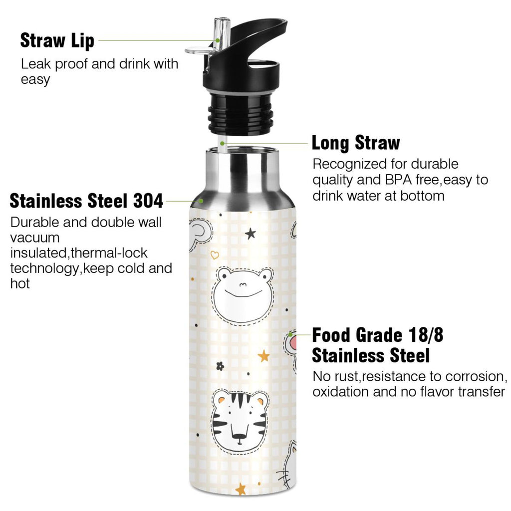 Stainless Steel Insulated Water Bottle with Straw Lid F5288