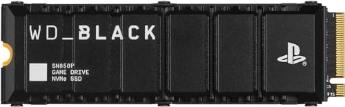 2TB NVMe M.2 SSD with Heatsink K17031