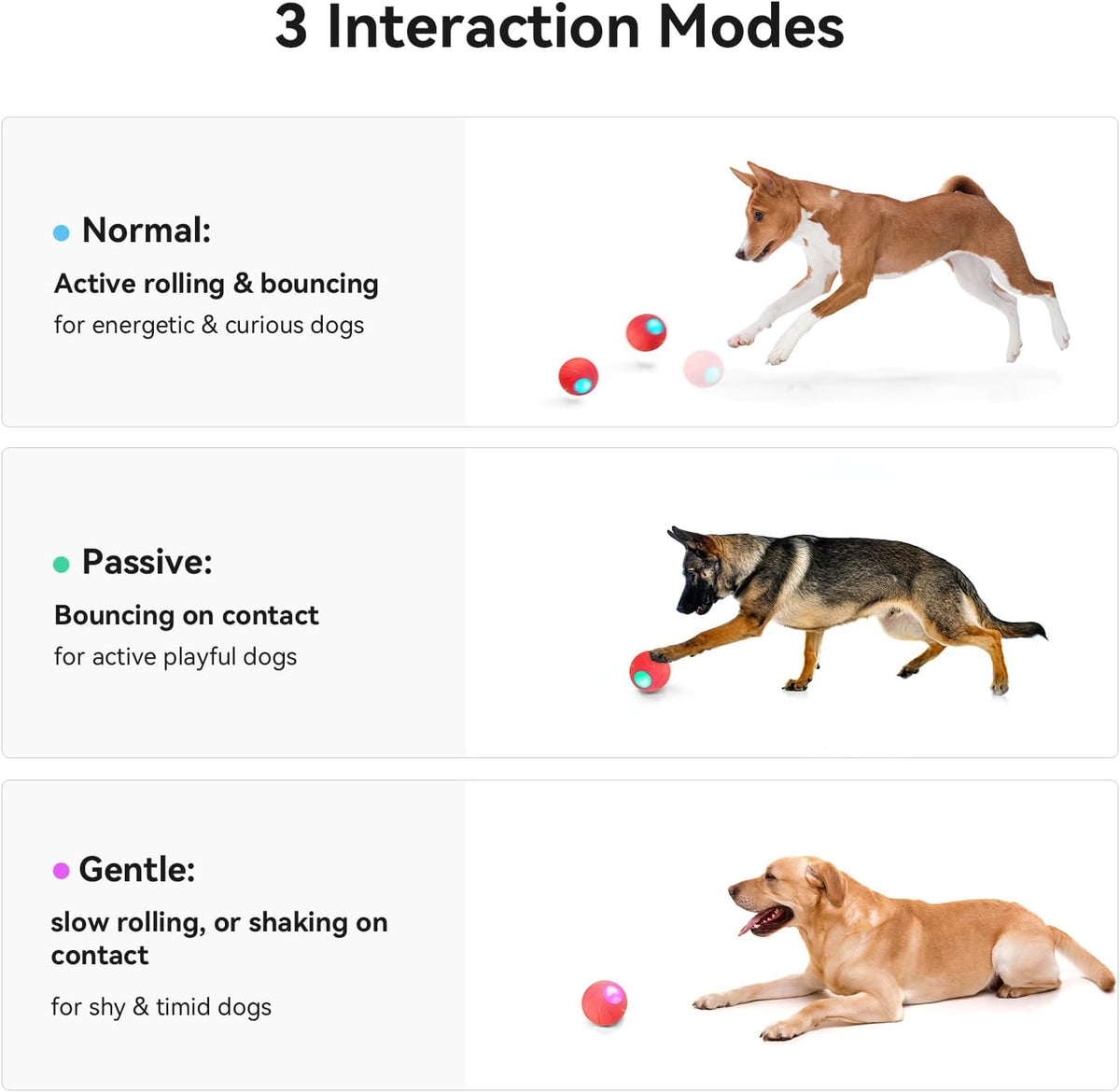 Smart Interactive Dog Toy with LED Lights Y57980