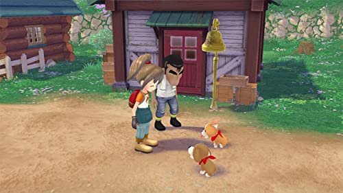 Nintendo Switch Game Y3811