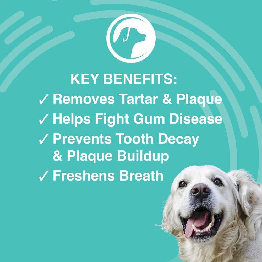 Dental Gel T734