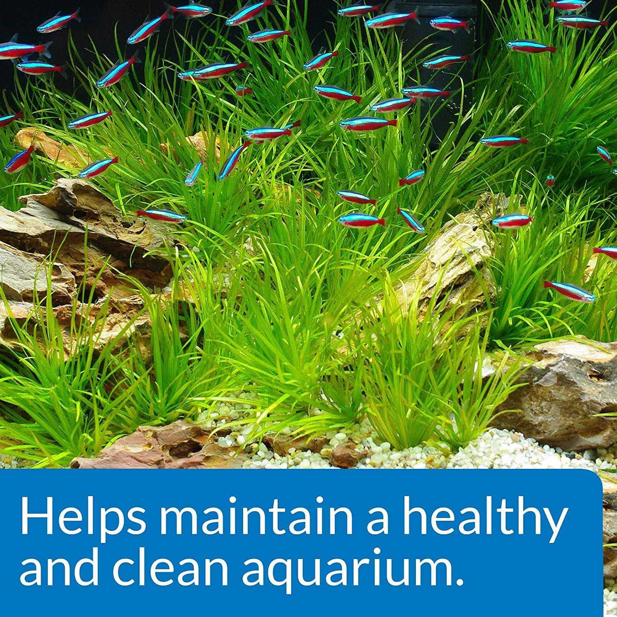API Aquarium Start Up Pack U64700