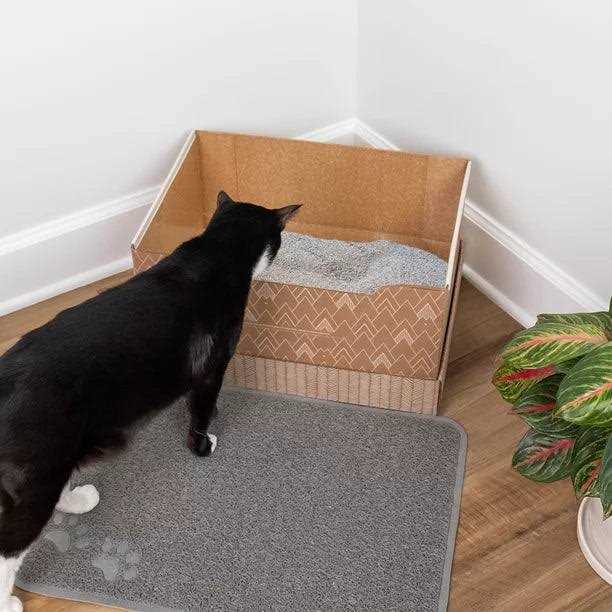 Recyclable Cat Litter Box with Clay Litter Q607114