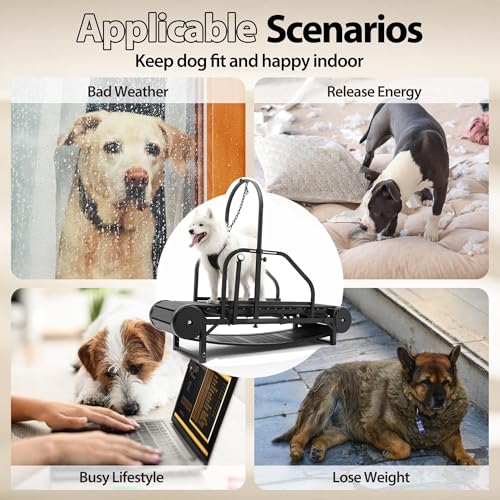 Non-Electric Dog Treadmill with Step Counter, Adjustable Incline & Brake U7376