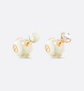 Earrings N842137