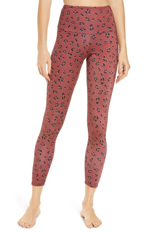 High Rise Capris, Size Medium in Lady Leopard S713154
