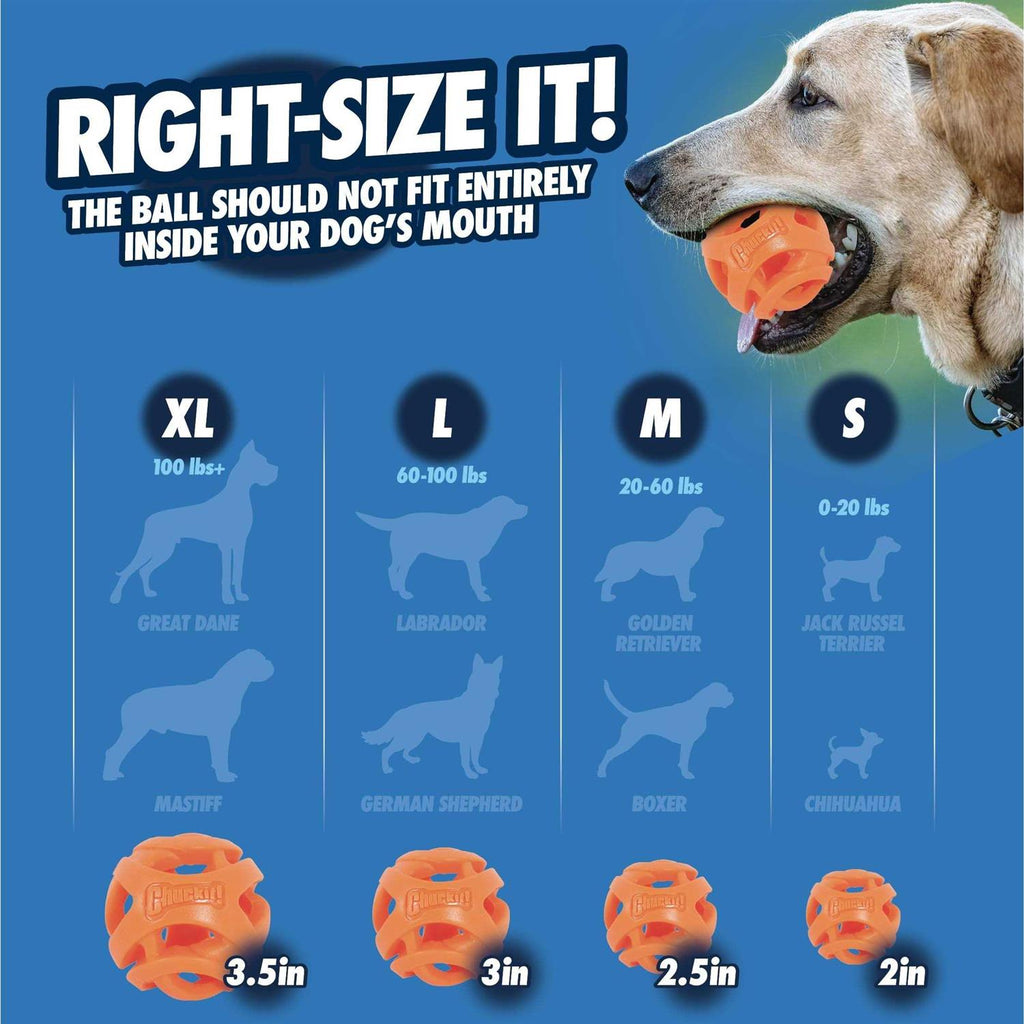 Fetch Ball R3697
