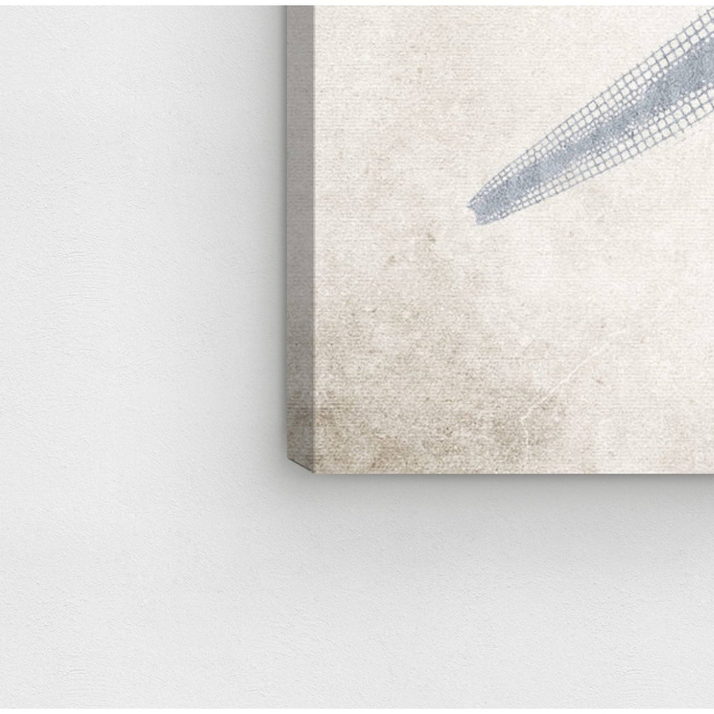 Blue Starfish Grey Coastal Canvas V233962