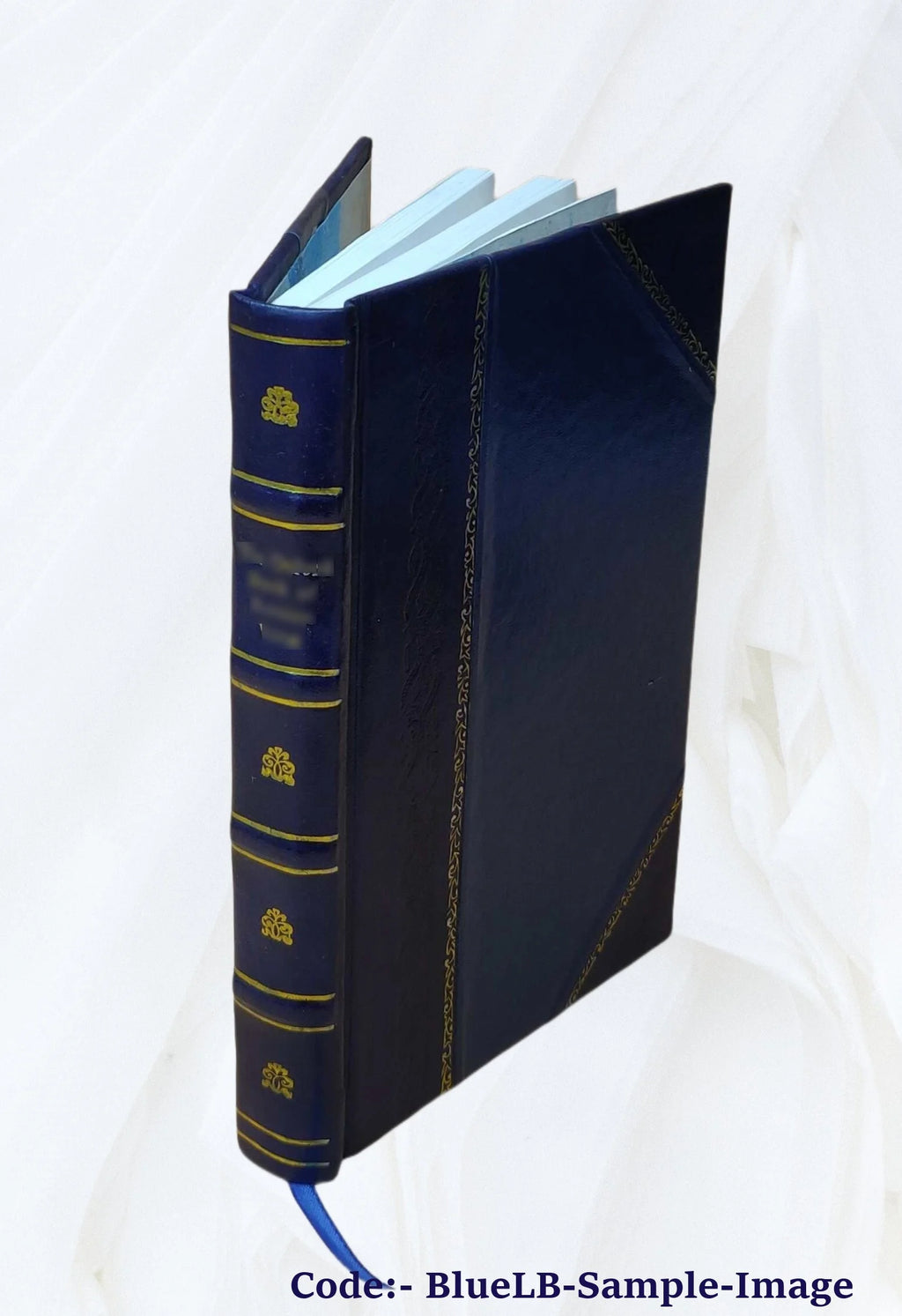 Leather Bound Book H983075