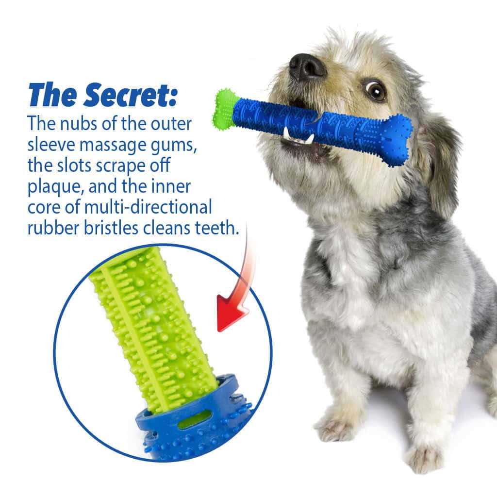 Self-Brushing Toothbrush X98156